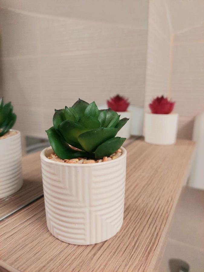 Domino Studio Apartman Nagyszeben Kültér fotó